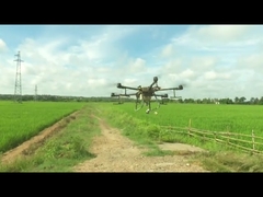 AcNPV Tiểu sinh trùng ướt tai ngô Thuốc trừ sâu Bacillus Thuringiensis Kiểm soát dịch hại