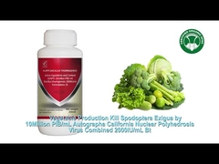 Thuốc trừ sâu hữu cơ cho nông nghiệp như rau hữu cơ, cây trà, bông, gạo.