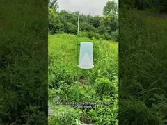 Gian sâu bẫy côn trùng bẫy củ cải lục quân giun trong ngô bắp củ cải giun bẫy bông cải xanh