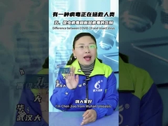 Hãy nói lời tạm biệt với gián bằng Gel mồi chống gián an toàn cho thú cưng và Virus gián thành phần hoạt động