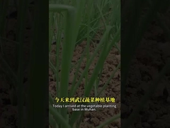 Sự kết hợp của bào tử vi khuẩn và baculovirus có thể kiểm soát tốt hơn loài sâu bệnh lepidopteran