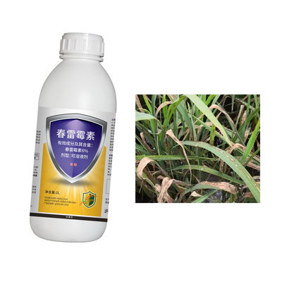 6% Kasugamycin Fungicide Rice Blast Prevention Control Excellent Effects on Plants