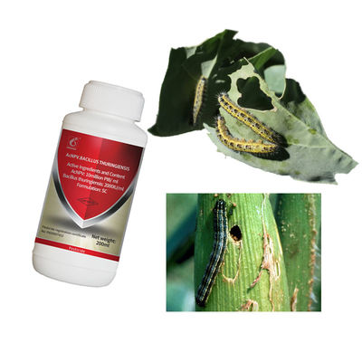 Organic Pesticides Factory Cruciferous Vegetables Spodoptera Exigua Pest Killing Agricultural Products