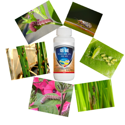 10% Nicotine Vegetable Organic Mite Spray Insecticide For Edible Plants