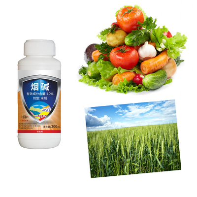 10% Nicotine Vegetable Organic Mite Spray Insecticide For Edible Plants
