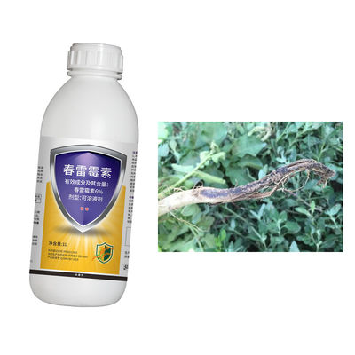 Melon bacterial angular leaf spot cure  6% Kasugamycin rice citrus vegetables protection 