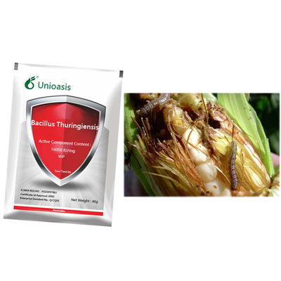 Bacillus Thuringiensis Btk Biological Insecticide for Caterpillars