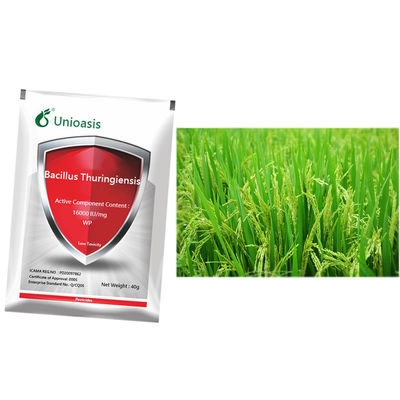 Organic pesticide widely used for lepidoptera pests vegetable rice corn Bacillus thuringiensis