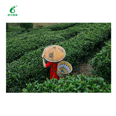 Tea geometrid killer pesticide EoNPV Bt Long-term effect harmless to human animals